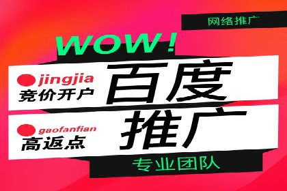 百度竞价广告在电商行业的实战应用案例